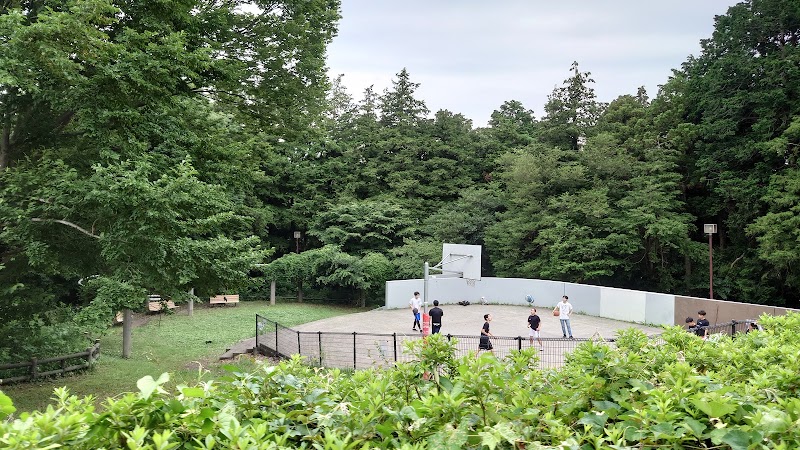 今川公園 バスケットコート