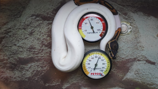 Pet Supply Store «Petco Animal Supplies», reviews and photos, 3012 Bridgepointe Pkwy, San Mateo, CA 94404, USA