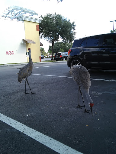 Shopping Mall «Heart of Florida Shopping Center», reviews and photos, 35910 US-27, Haines City, FL 33844, USA