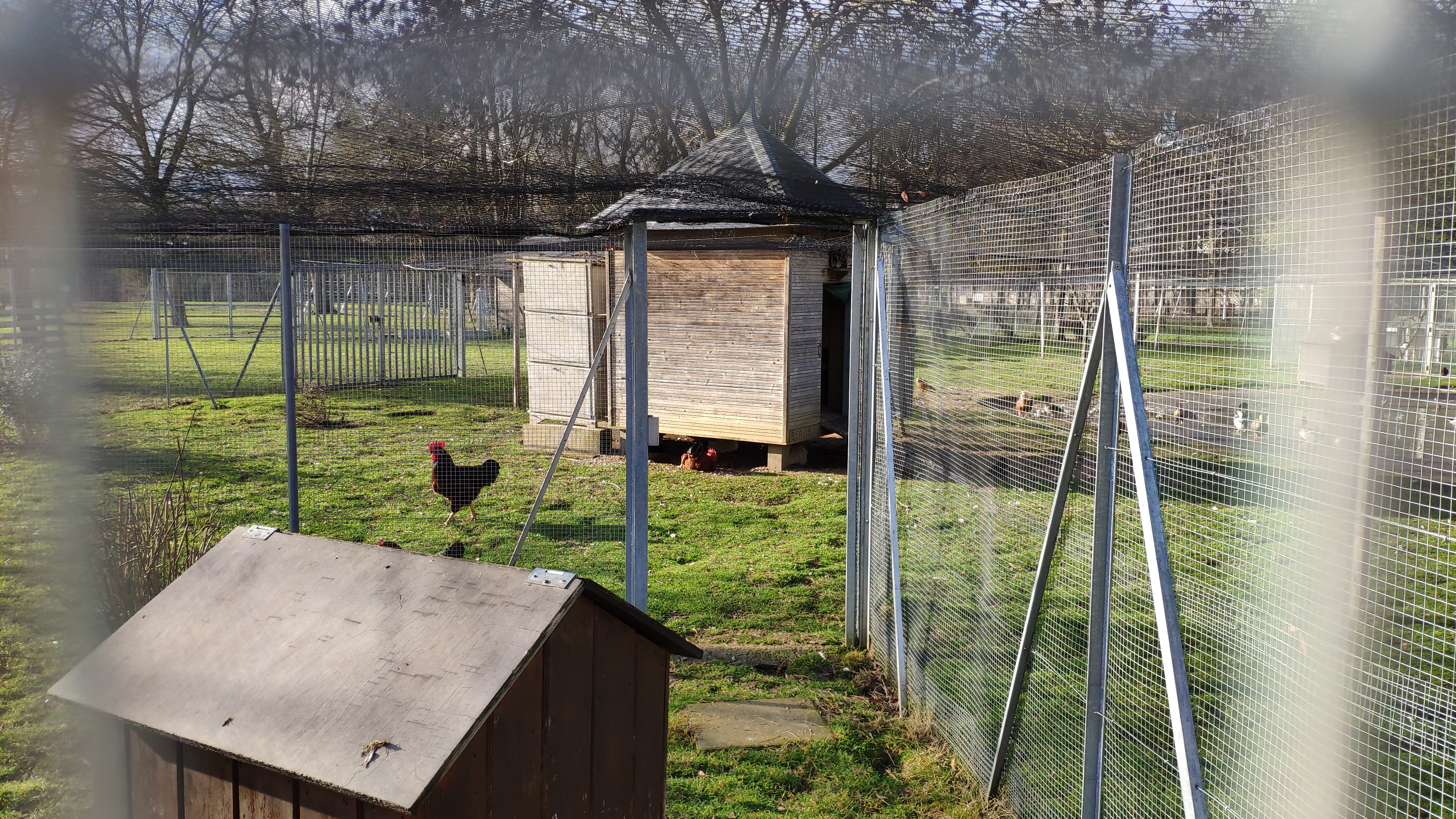 Photo n° 5 de l'avis de CYRIL.U fait le 31/12/2020 à 13:47