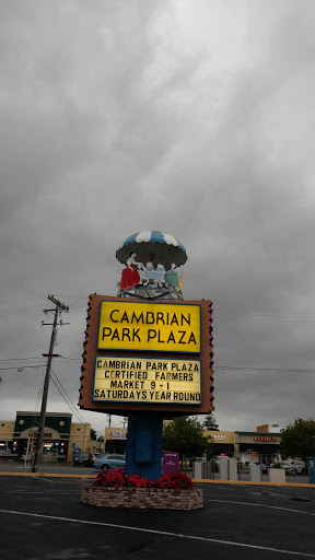Shopping Mall «Cambrian Park Plaza Shopping Center», reviews and photos, 14900 Camden Ave, San Jose, CA 95124, USA