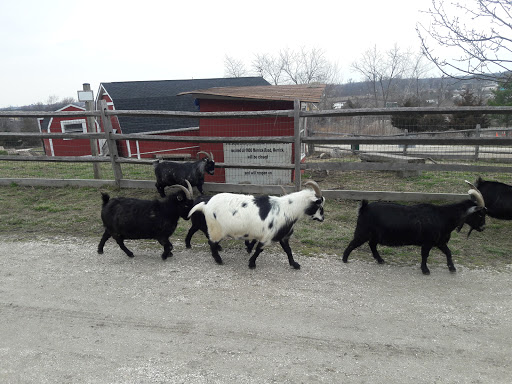 Golf Course «Merrick Golf Course», reviews and photos, 2550 Clubhouse Rd #1, Merrick, NY 11566, USA