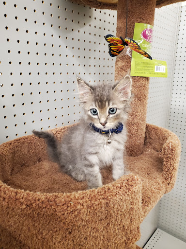 Pet Supply Store «PetSmart», reviews and photos, 12375 SW Walker Rd, Beaverton, OR 97005, USA