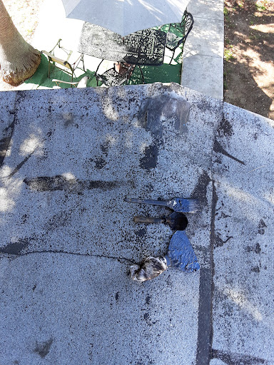 Electrical Supply Store «Hollywood Wholesale Electric», reviews and photos, 5426 California Route 2, Los Angeles, CA 90029, USA