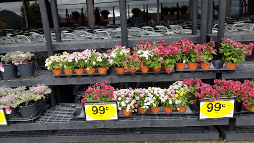 Grocery Store «Quality Food Center», reviews and photos, 1009 Monroe Ave, Enumclaw, WA 98022, USA