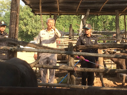 ตลาดนัดโคกระบือ Cow-buffalo Market