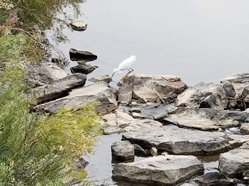 Park «Westminster City Park», reviews and photos, 10455 N Sheridan Blvd, Westminster, CO 80020, USA