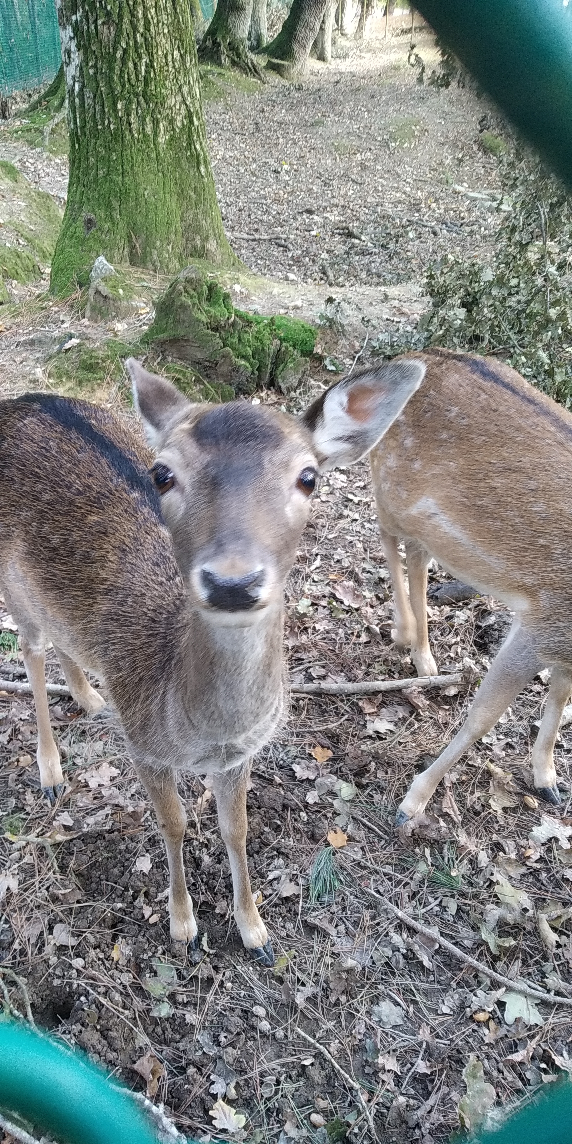 Photo n° 5 de l'avis de Flo.a fait le 18/10/2020 à 15:36