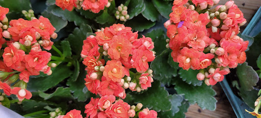 Home Improvement Store «The Home Depot», reviews and photos, 8445 Little Rd, New Port Richey, FL 34654, USA