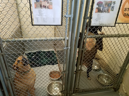 Humane Society of Raleigh County