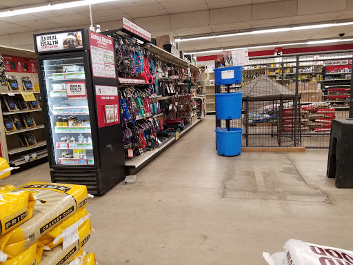 Home Improvement Store «Tractor Supply Co.», reviews and photos, 2000 Feather River Blvd, Oroville, CA 95965, USA