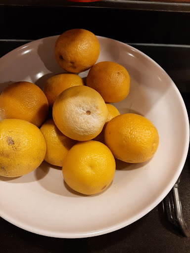 Hotel «Fairfield Inn & Suites by Marriott Tampa Fairgrounds/Casino», reviews and photos, 6720 Lakeview Center Dr, Tampa, FL 33619, USA