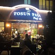 Tosun Pasa Payitaht