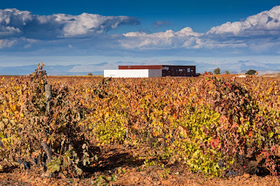 Bodega – Leyenda del Páramo – Valdevimbre