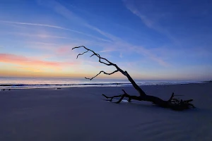 Jekyll Island State Park image