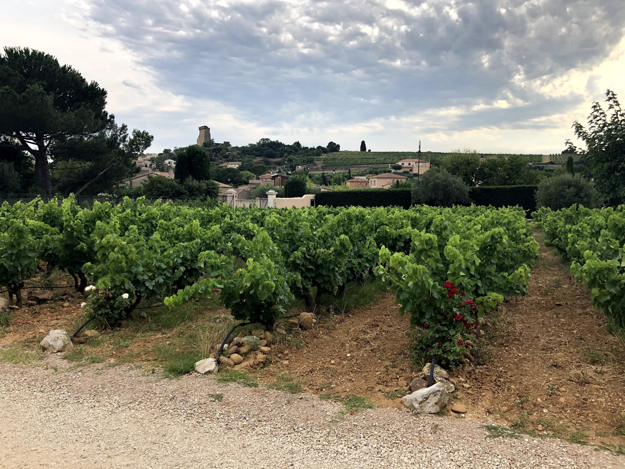 Photo n° 1 de l'avis de Mathieu.a fait le 17/05/2021 à 11:32