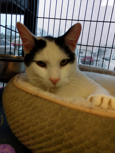 Pet Store «Pet Valu», reviews and photos, 217 Lancaster Ave, Ardmore, PA 19003, USA