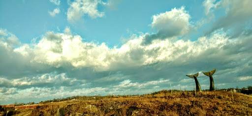 Monument «Reverence (Whales Tails)», reviews and photos, I-89, South Burlington, VT 05403, USA