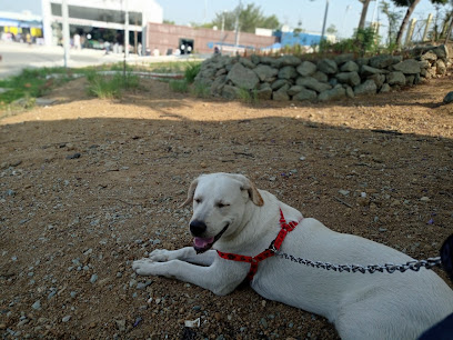 Centro de Bienestar Animal - Guayaquil