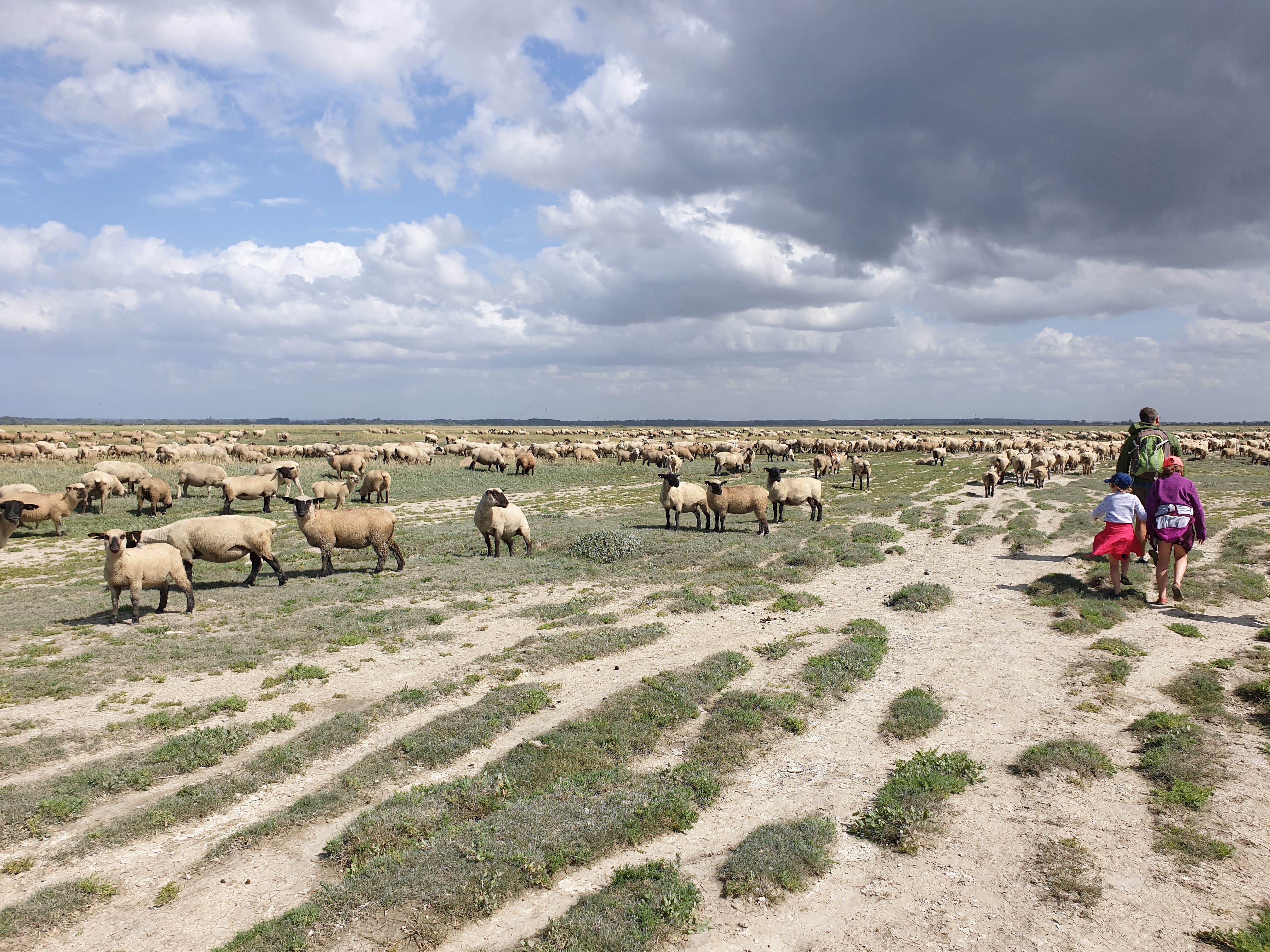 Photo n° 6 de l'avis de Julien.e fait le 15/08/2019 à 08:31