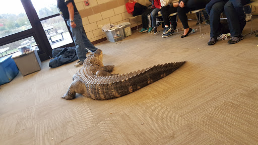 Nature Preserve «Hickory Knolls Discovery Center», reviews and photos, 3795 Campton Hills Drive, St Charles, IL 60175, USA