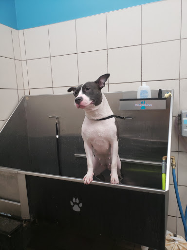 Pet Supply Store «Pet Supplies Plus», reviews and photos, 3205 W 115th St, Merrionette Park, IL 60803, USA