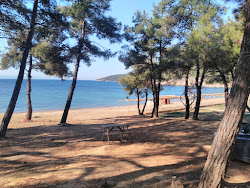 Foto di Sait faik beach III e il suo bellissimo paesaggio
