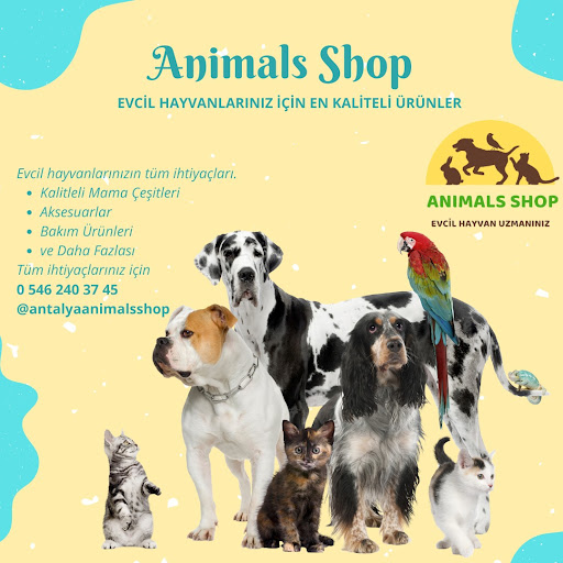 Animals Shop Petshop (Alo Mama)