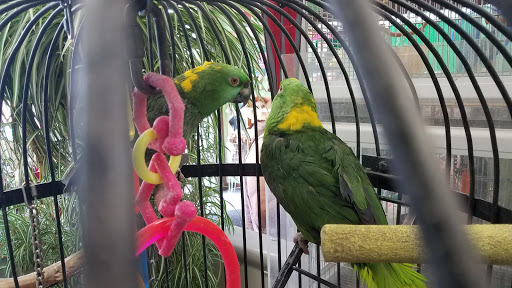 Pet Store «Pettin Place», reviews and photos, 1121 S Wells Ave, Reno, NV 89502, USA