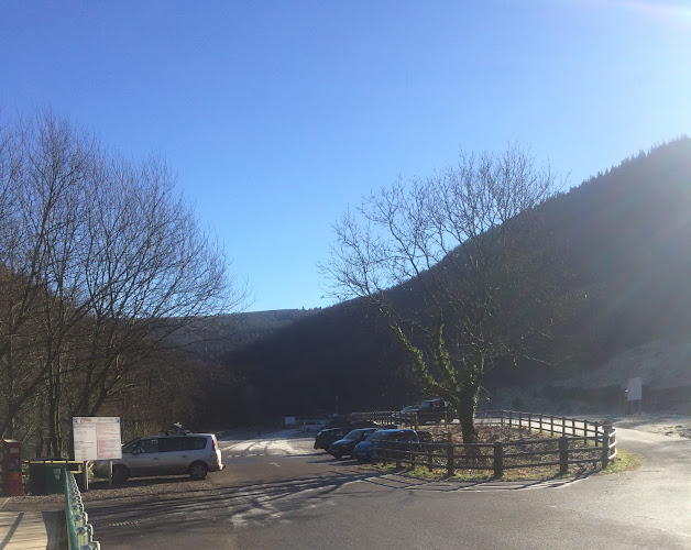 Cwmcarn Trail Centre - Ps Cycles - Newport