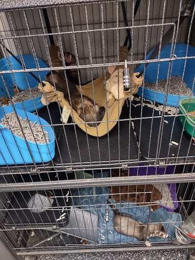 Pet Supply Store «Pet Supplies Plus», reviews and photos, 2433 MacArthur Rd, Whitehall, PA 18052, USA