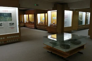 Природонаучен музеј на Македонија image