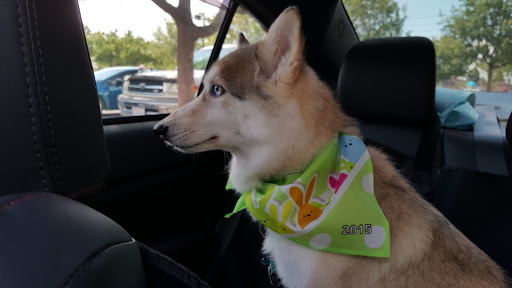 Pet Supply Store «PetSmart», reviews and photos, 1621 E Monte Vista Ave b, Vacaville, CA 95688, USA