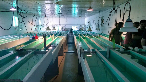 Caterer «Town & Country Caterers», reviews and photos, 922 S Route 9W, Congers, NY 10920, USA