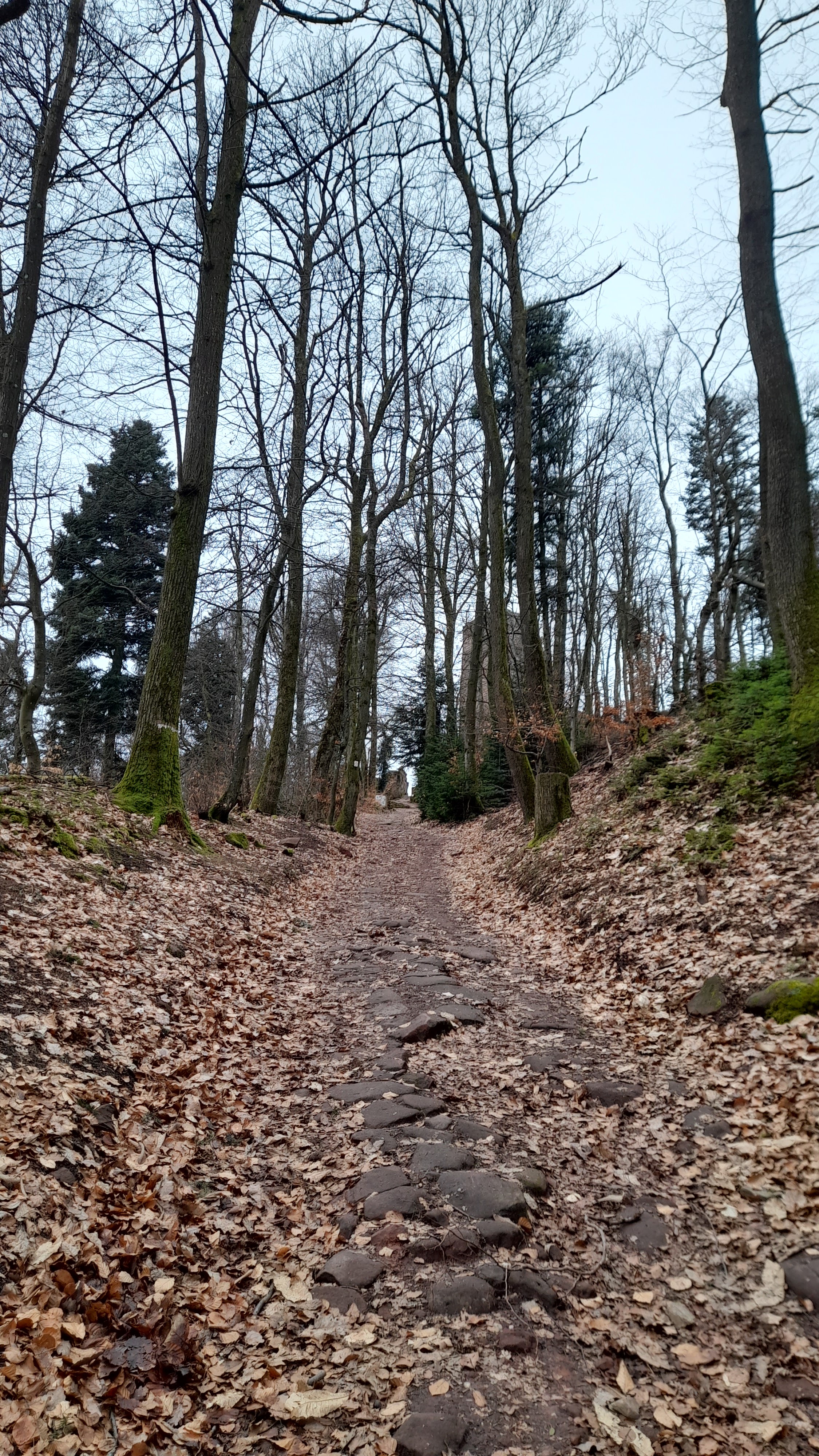 Photo n° 3 de l'avis de Magali.r fait le 20/02/2024 à 16:43