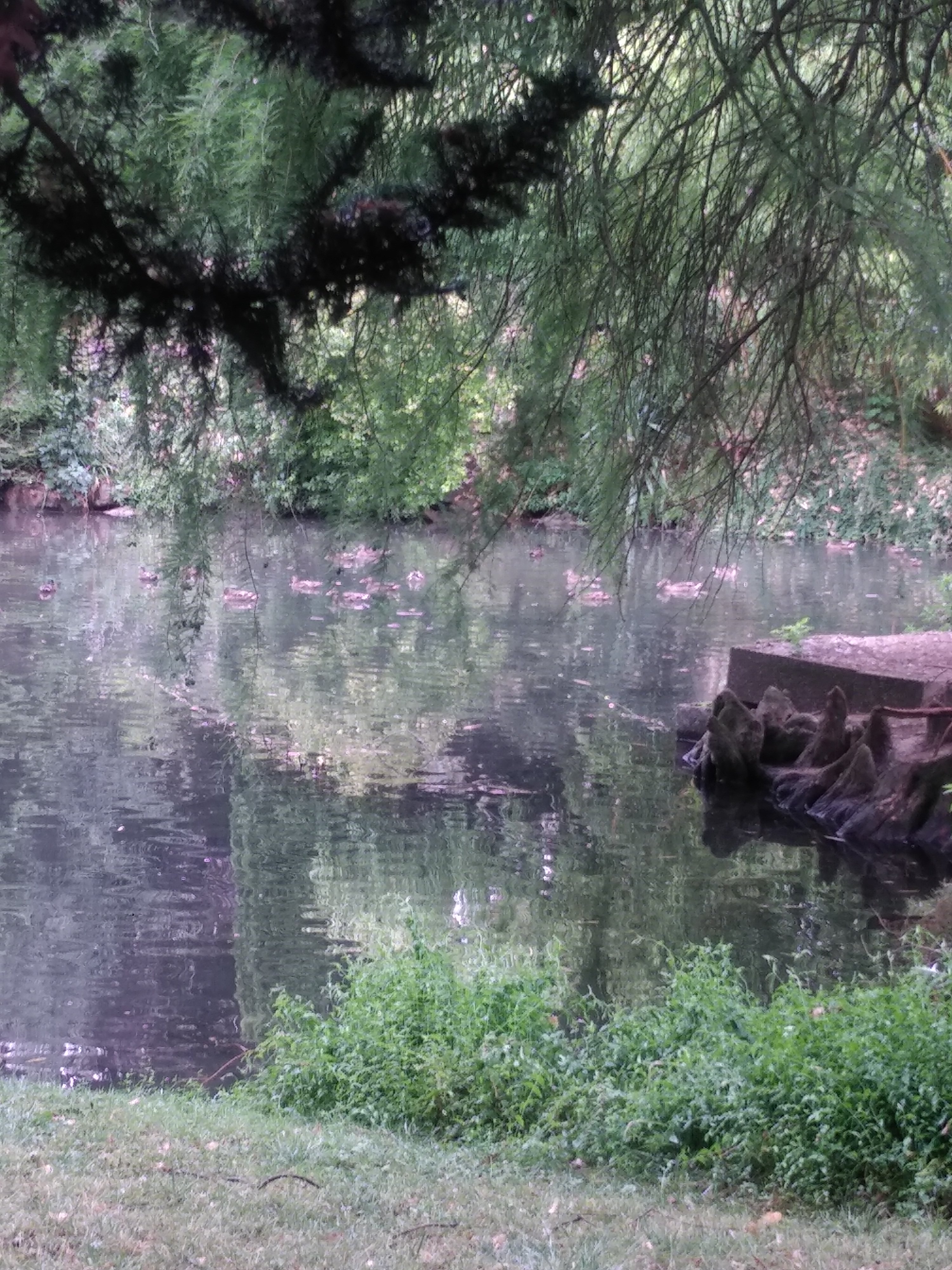 Photo n° 8 de l'avis de Céline.u fait le 28/07/2019 à 16:18