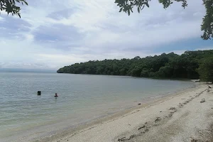 Playa Naranjo image