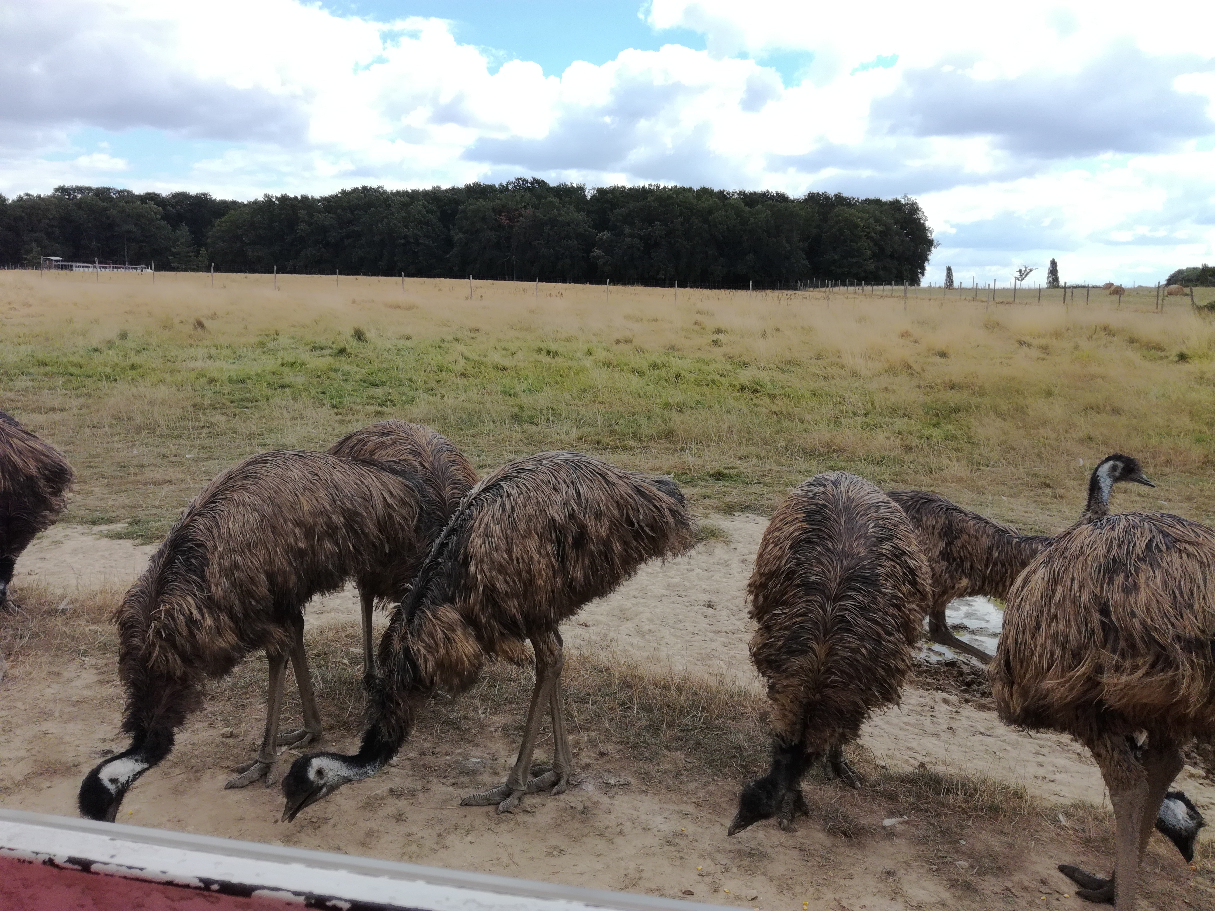 Photo n° 3 de l'avis de Chochotte.5 fait le 18/08/2018 à 19:13