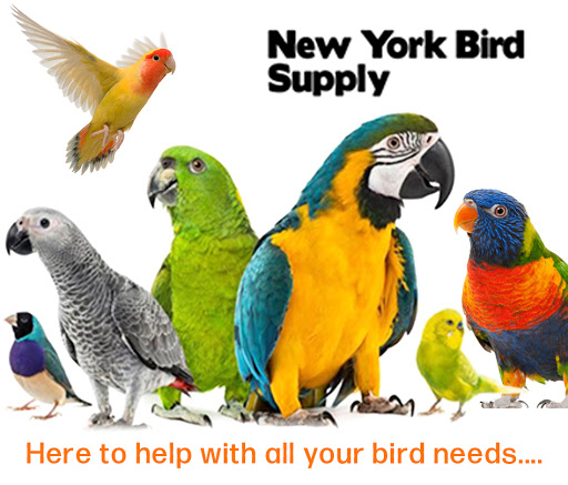 New York Bird Supply image 5