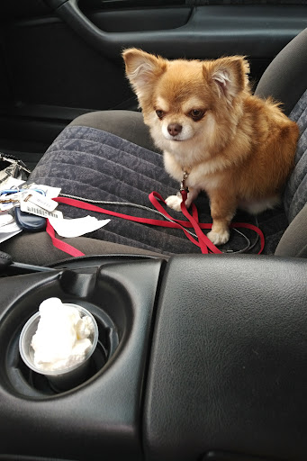 Coffee Shop «Starbucks», reviews and photos, 6675 Crain Hwy, La Plata, MD 20646, USA