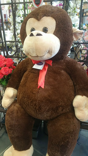 Florist «Twinbrook Floral Design», reviews and photos, 9579 Braddock Rd, Fairfax, VA 22032, USA