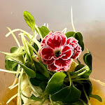 Photo n°4 de l'avis de Michael.. fait le 26/10/2022 à 21:55 sur le  Maktub Pub à Paul do Mar