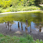 Photo n° 37 de l'avis de Sabine. fait le 07/08/2022 à 12:25 pour Samara Arboretum à La Chaussée-Tirancourt