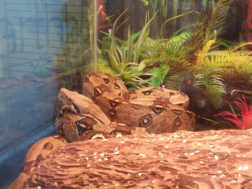 Pet Store «Wet Pets N Critters», reviews and photos, 103 TX-281 Loop, Longview, TX 75605, USA