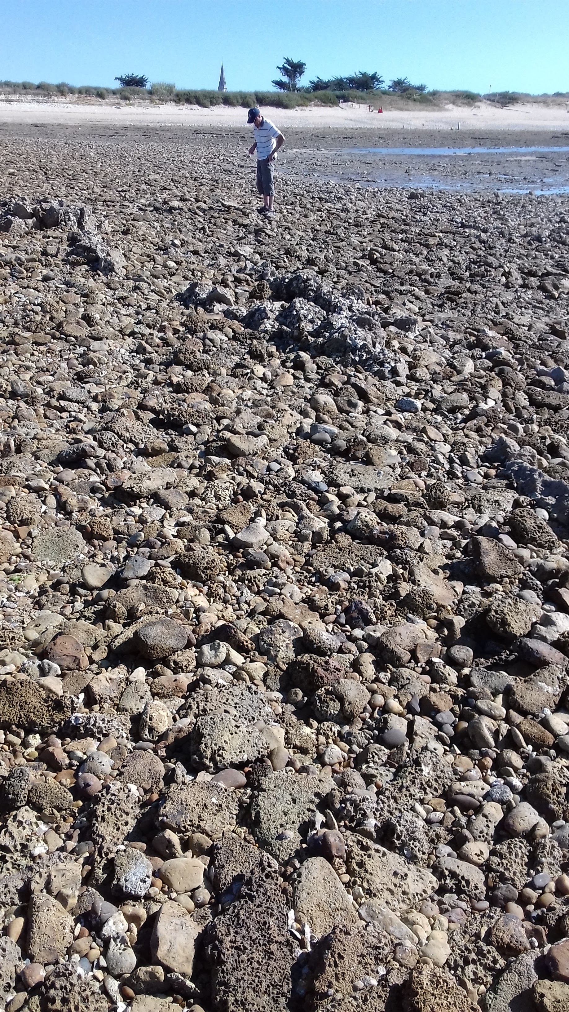 Photo n° 7 de l'avis de J.L fait le 10/09/2018 à 06:42