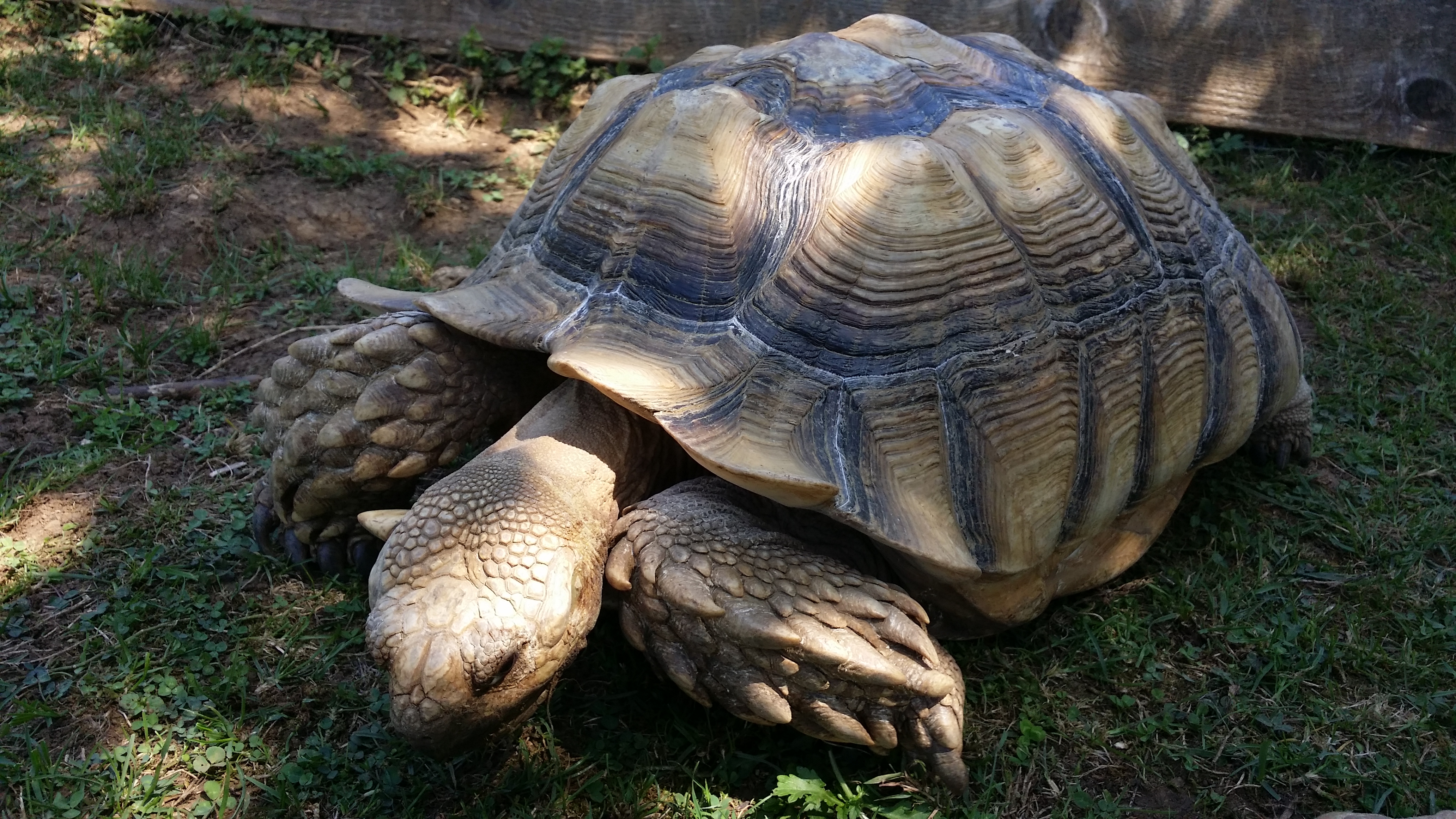 Photo n° 2 de l'avis de Holf. fait le 23/08/2019 à 15:35