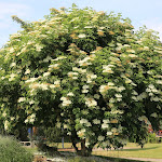 Photo n°8 de l'avis de Andreas.r fait le 13/11/2018 à 15:12 sur le  Eurostrand Resort Moseltal à Leiwen