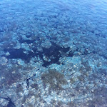 Photo n°2 de l'avis de Angela.o fait le 21/06/2019 à 20:53 sur le  Bungalow Club Village à San Teodoro