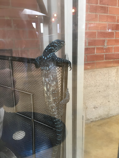 Zoo «Cheyenne Mountain Zoo», reviews and photos, 4250 Cheyenne Mountain Zoo Rd, Colorado Springs, CO 80906, USA