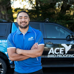 Ace Bird Proofing Solutions